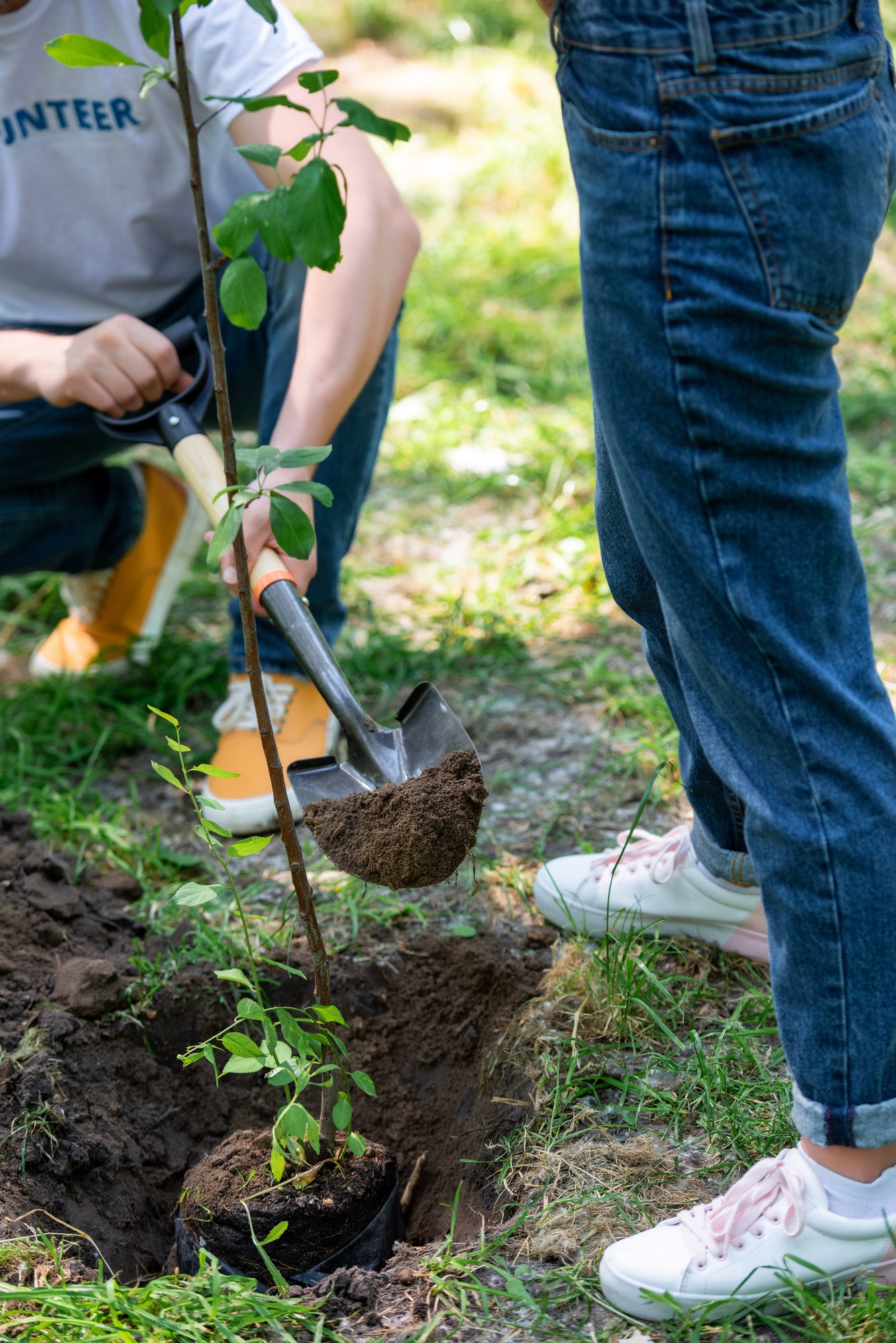 cropped-view-of-couple-planting-tree-with-shovel.jpg
